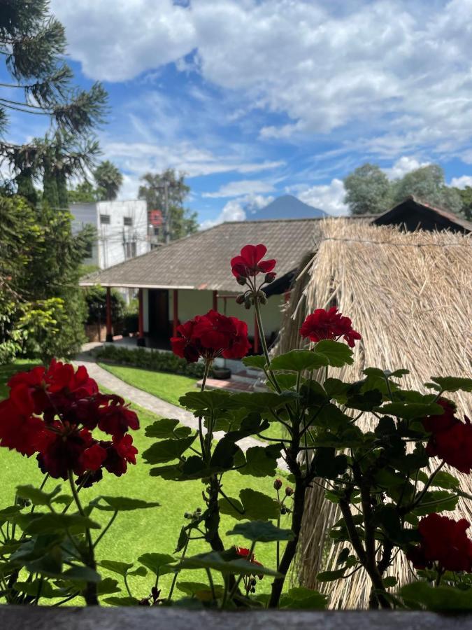 Hotel Rancho Grande Inn Панахачель Екстер'єр фото
